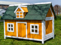 Barn Chicken House - Natural